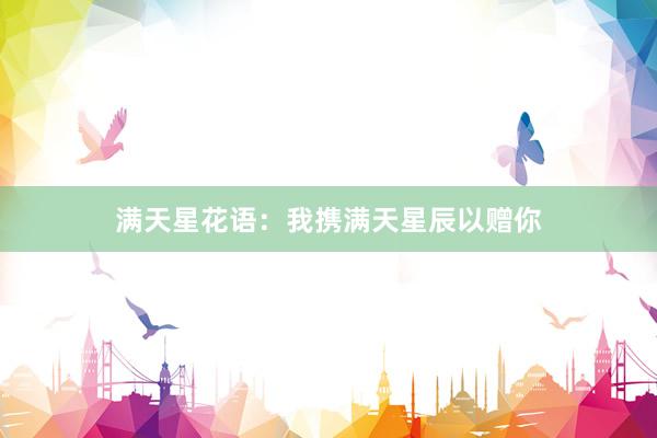 满天星花语：我携满天星辰以赠你